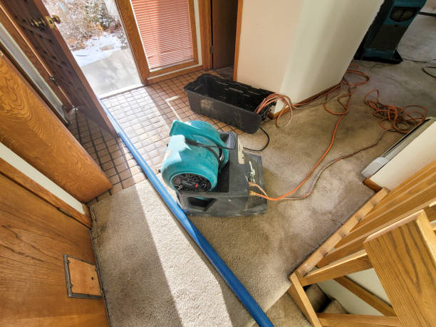  Lakeview, WA Water damage restoration Pros