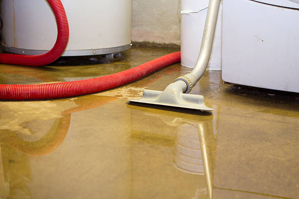 Best Residential water damage restoration  in Lakeview, WA