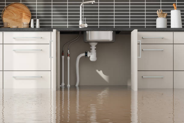 Best Flooded house restoration  in Lakeview, WA